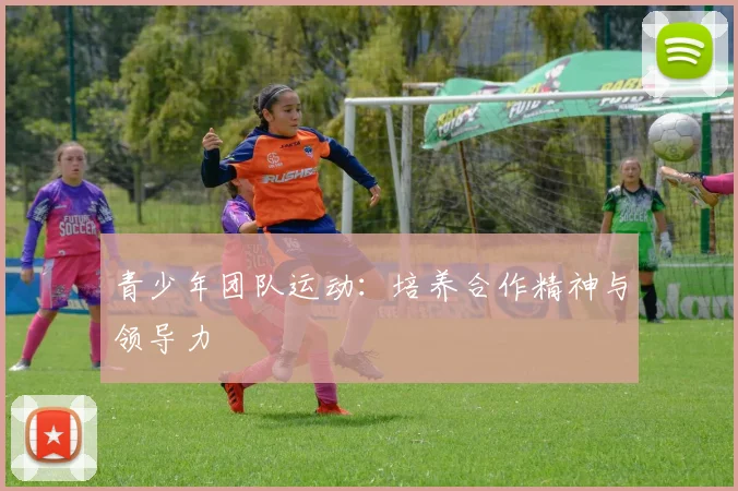 青少年团队运动：培养合作精神与领导力