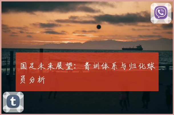 国足未来展望：青训体系与归化球员分析